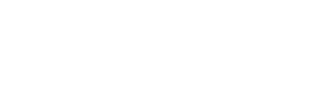 The Solomon Brokerage Firm